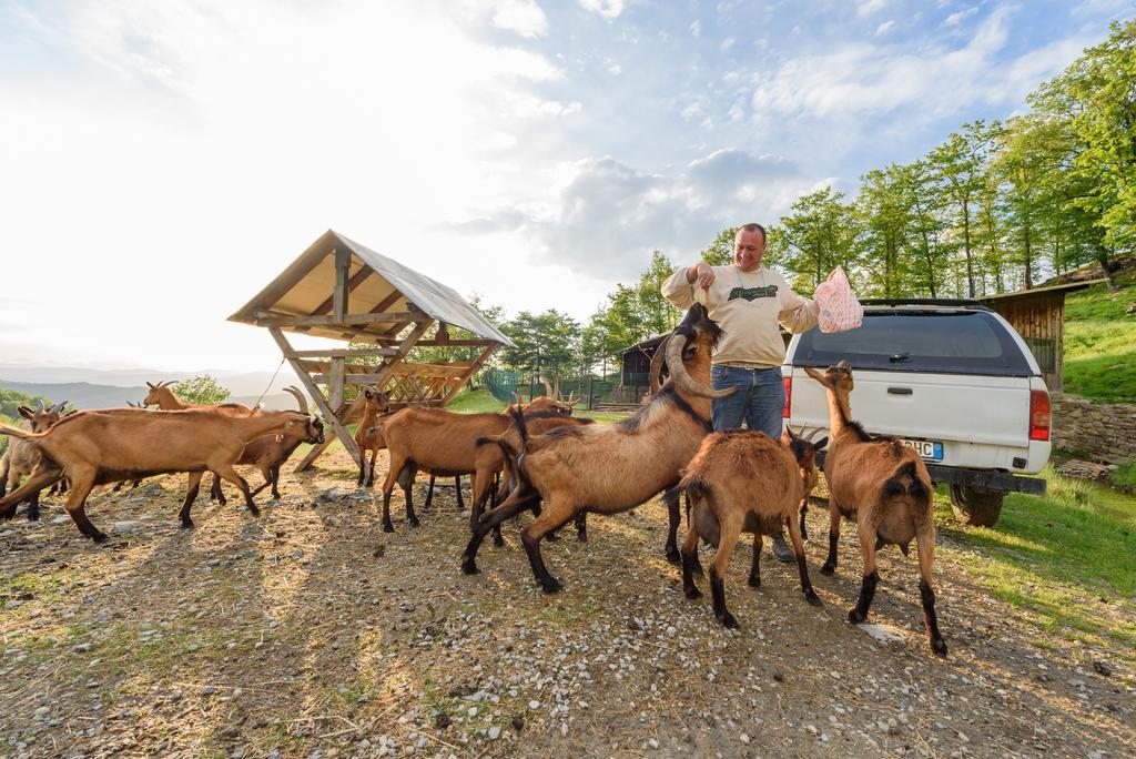 Agriturismo Casapasserini Londa Esterno foto