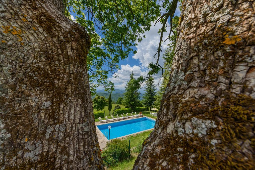 Agriturismo Casapasserini Londa Esterno foto